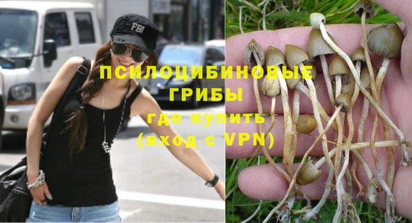 ALPHA PVP Алексин